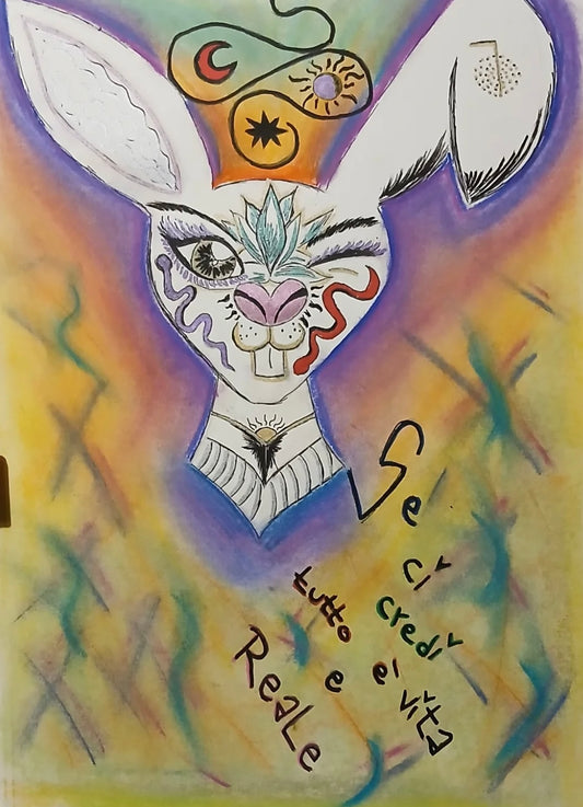 BLACK FRIDAY "Wonderland" Erika Bellina