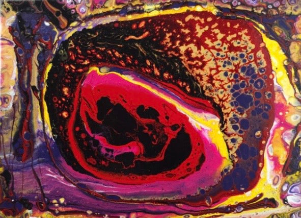 BLACK FRIDAY "nascita" Stefania Spadavecchia