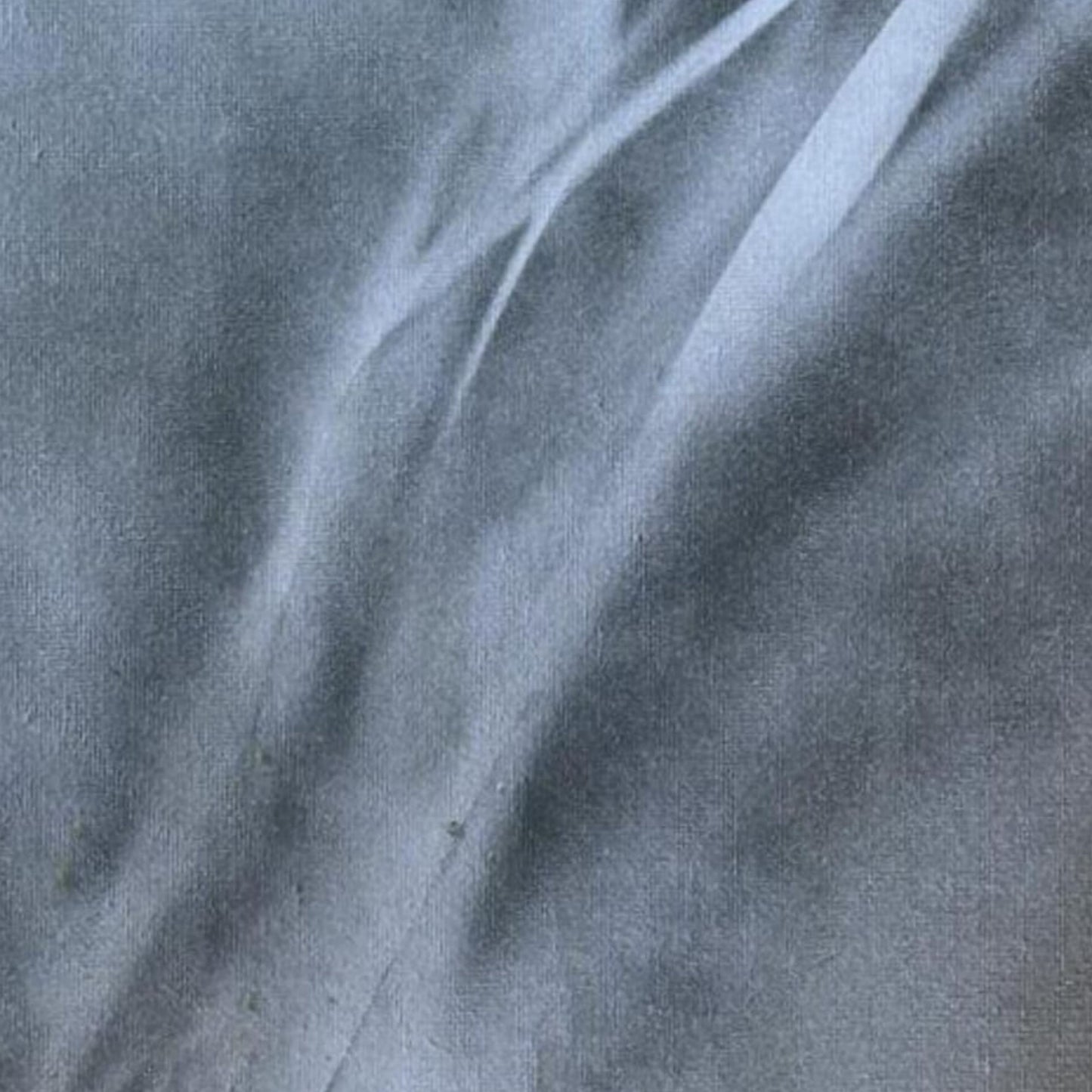 Dipinto "Terra Madre" Elisabetta Scaglia