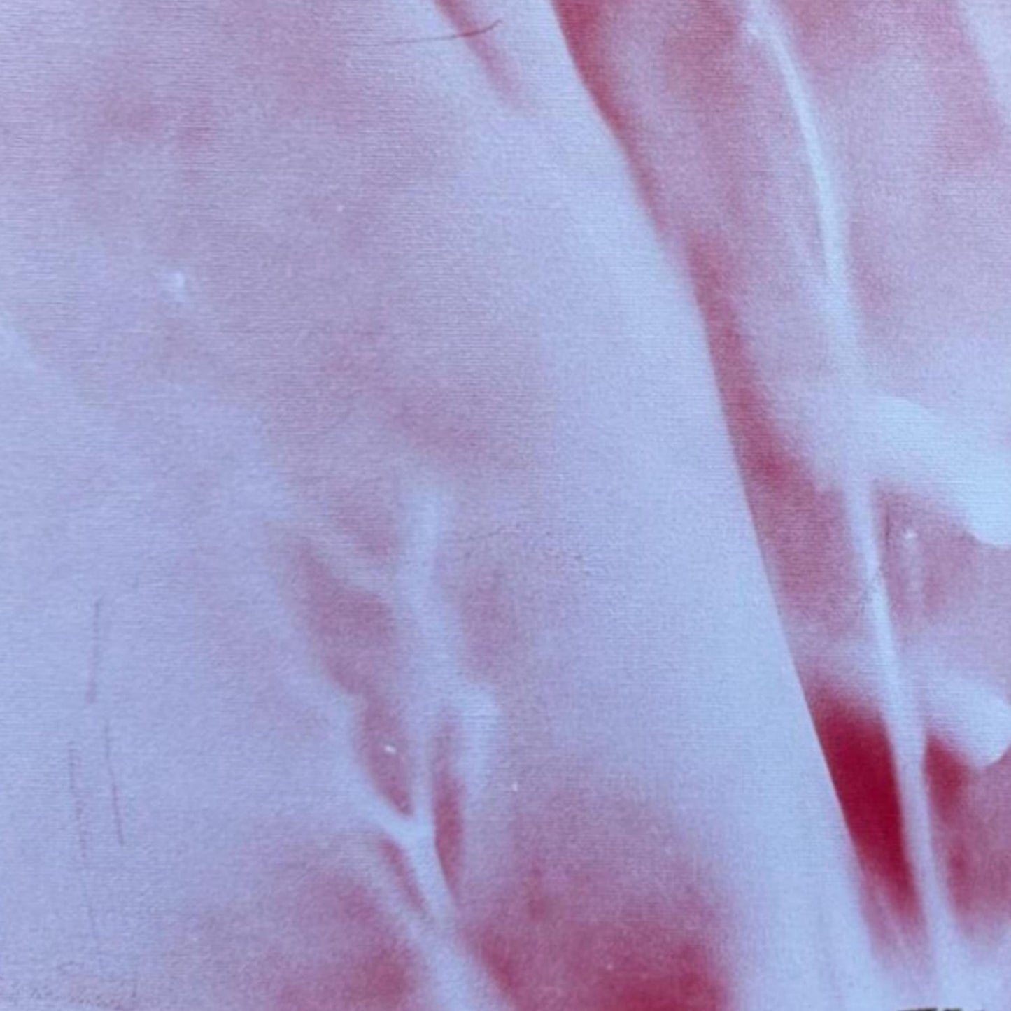 Dipinto "Radici" Elisabetta Scaglia