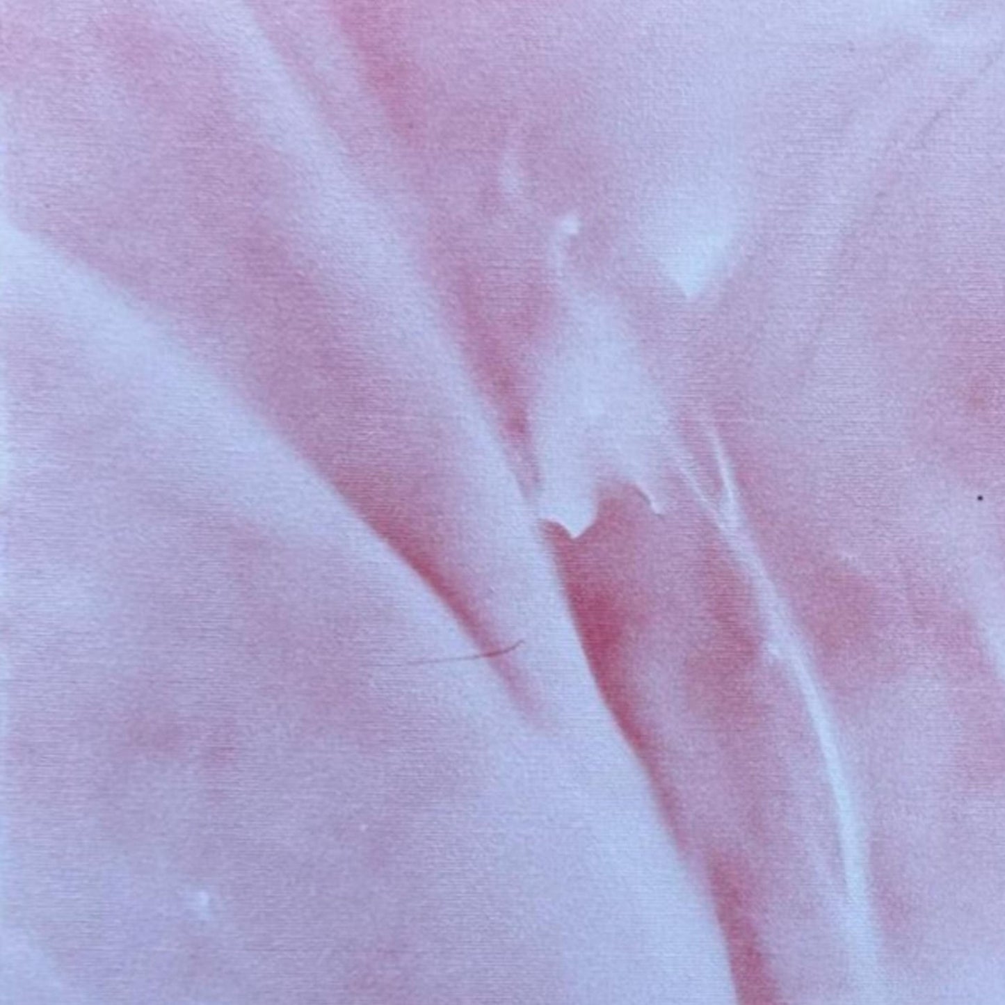 Dipinto "Radici" Elisabetta Scaglia