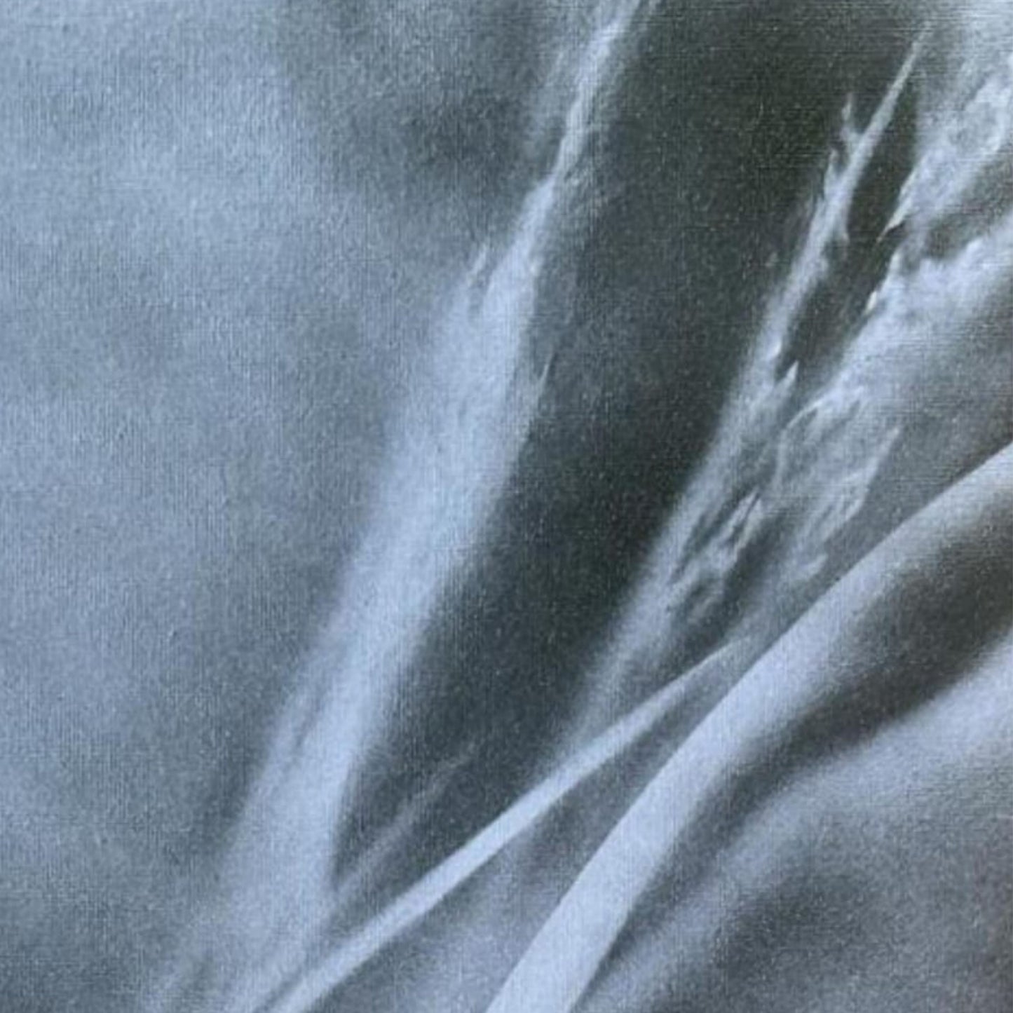 Dipinto "Terra Madre" Elisabetta Scaglia